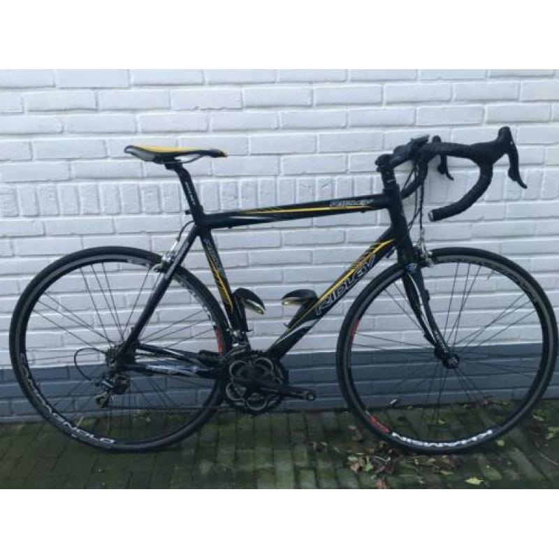 Ridley race fiets Tour Edition 54 cm campagnolo xenon