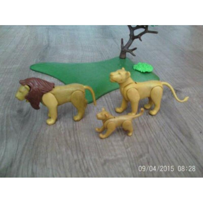 Playmobil leeuwenfamilie