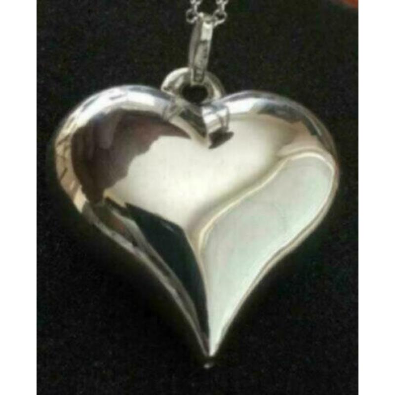 Zilveren hanger hart raspini