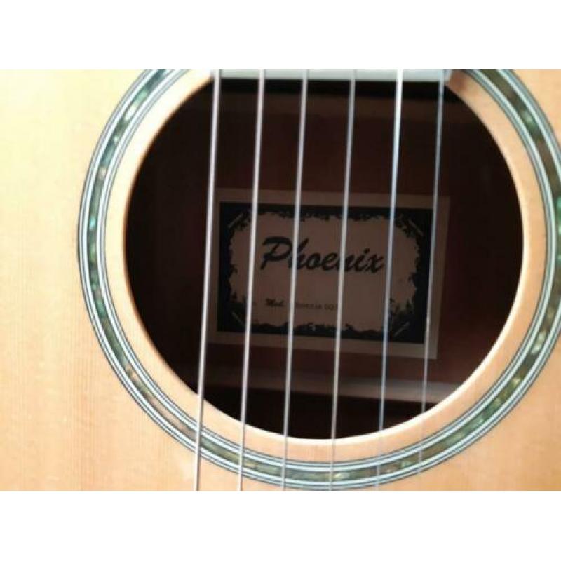 gitaar Phoenix 003
