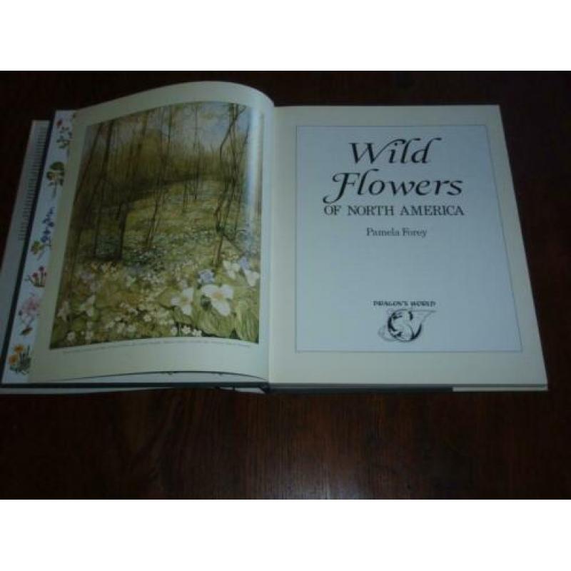 WILD FLOWERS OF NORTH AMERICA by Pamela Forey